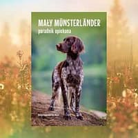 Książka "Mały münsterländer - poradnik opiekuna"